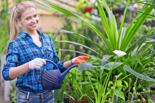 Secure payment portal for Gardening Services Southfields