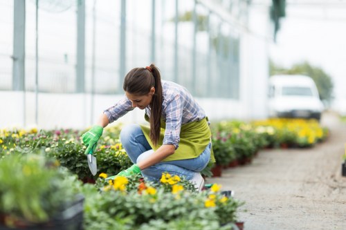 A woman wearing a plaid shirt, green gardening apron, and green gloves is kneeling on a narrow garden path in a landscaped outdoor space, tending to a colorful bed of yellow and purple flowering plants. The garden features neatly maintained flower beds with a variety of blooms, bordered by soil and mulch, and is situated beneath a modern glass greenhouse structure that allows natural light to illuminate the area. In the background, there are lush green trees and shrubs, with a parked vehicle visible outside the garden area, indicating a residential or community setting in Southfields. The scene appears to be during daylight with overcast weather, providing soft, diffuse lighting. The woman is actively pruning or planting, demonstrating outdoor gardening activities associated with professional garden maintenance services provided by Gardening Services Southfields, which specialises in comprehensive garden care and landscaping solutions in the local area.