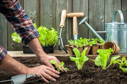 Training session for garden maintenance staff with tools displayed