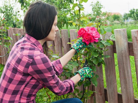 Gardener working in a Southfields garden near a terraced house