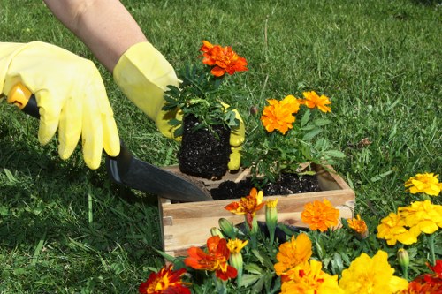 Gardener pruning a hedge in Southfields front garden