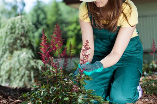 Accepted payment methods list for Southfields gardening services