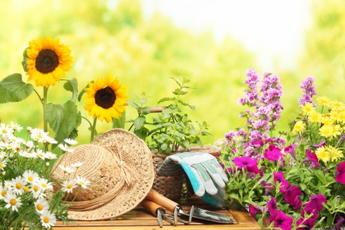 Eco-friendly lawn mowing practices in Southfields