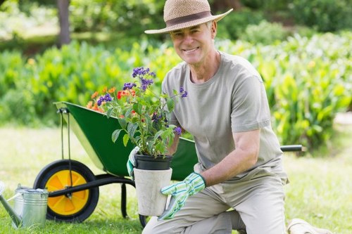 Professional lawn mowing services in Southfields