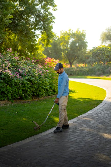 A man wearing a blue shirt, beige trousers, and a dark cap is engaged in garden maintenance along a curved paved walkway. He is using a hand grass trimmer to edge the lush, green lawn border next to v
