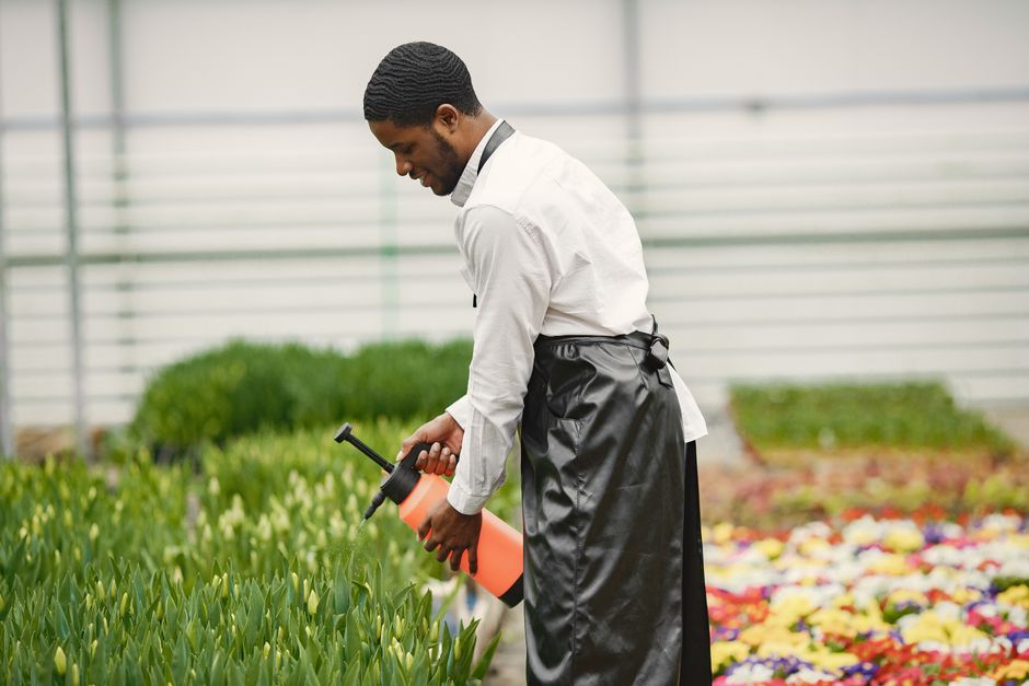 A gardener using hedge shears with yellow and green handles to trim a dense, green hedge in a well-maintained garden. The gardener is wearing a blue jacket and jeans, and the scene shows a neat layout