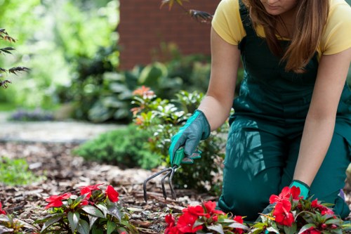 Lush lawn maintained by Southfields gardening services